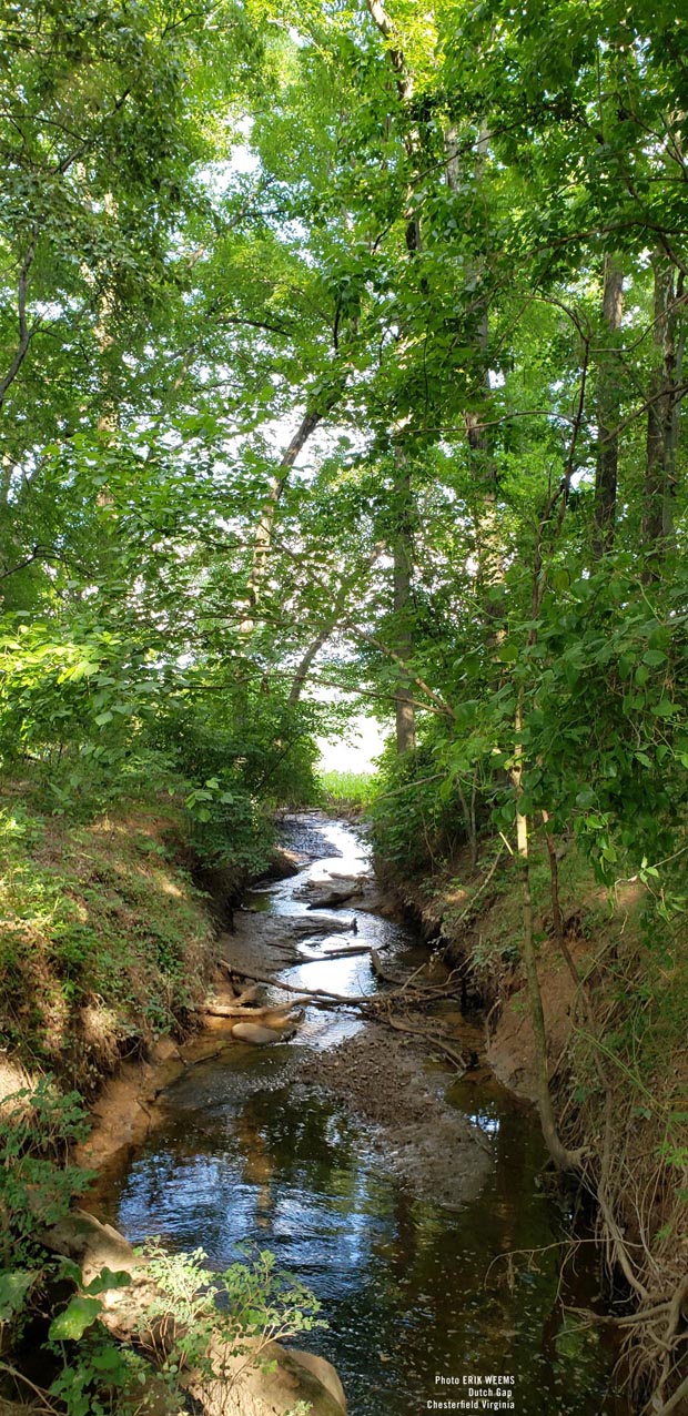 Dutch Gap Area Green drainage for creek and river
